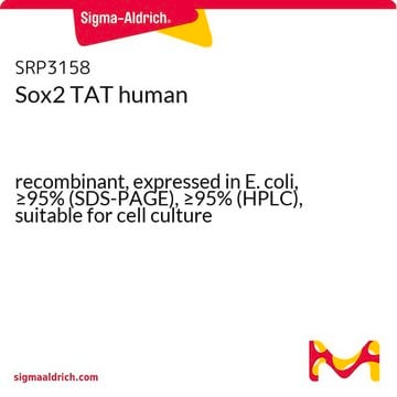 Sox2 TAT human recombinant, expressed in E. coli, &#8805;95% (SDS-PAGE), &#8805;95% (HPLC), suitable for cell culture