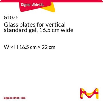 Glasplatten für vertikales Standardgel, Breite 16,5&nbsp;cm W × H 16.5&#160;cm × 22&#160;cm