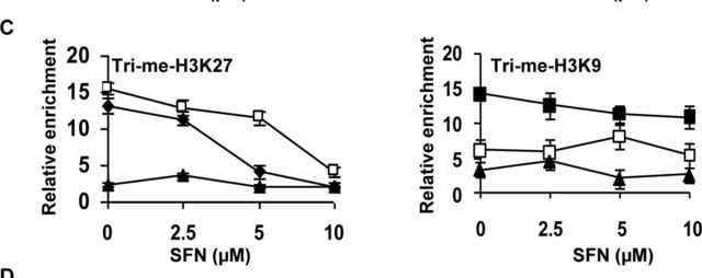 Anti-Trimethyl-Histon-H3(Lys9)-Antikörper Upstate&#174;, from rabbit