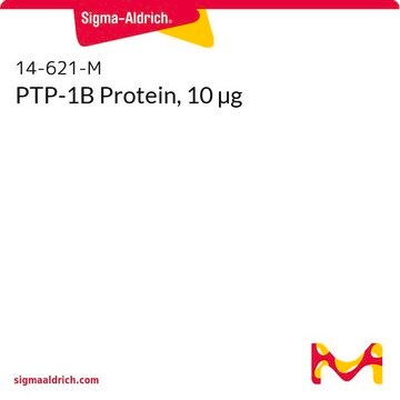 PTP-1B Protein, 10 &#181;g