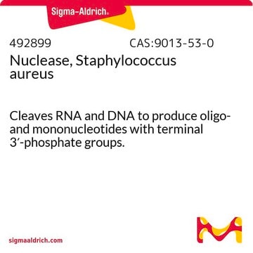 Nuclease, Staphylococcus aureus Cleaves RNA and DNA to produce oligo- and mononucleotides with terminal 3&#8242;-phosphate groups.