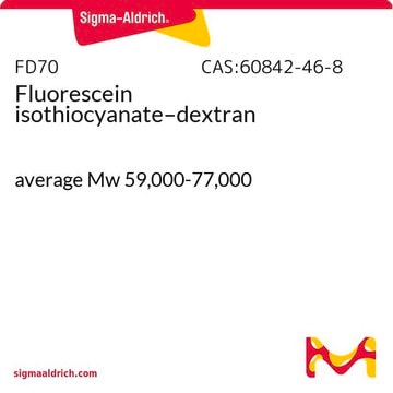 Isothiocyanate-dextrane marqué à la fluorescence average Mw 59,000-77,000