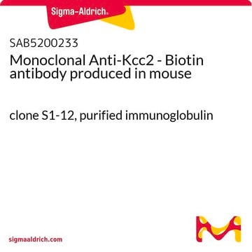 Monoclonal Anti-Kcc2 - Biotin antibody produced in mouse clone S1-12, purified immunoglobulin