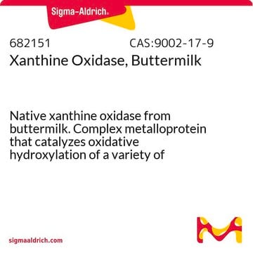 Xanthine Oxidase, Buttermilk Native xanthine oxidase from buttermilk. Complex metalloprotein that catalyzes oxidative hydroxylation of a variety of aromatic heterocycles and simple aldehydes. Catalyzes the oxidation of xanthine to uric acid.