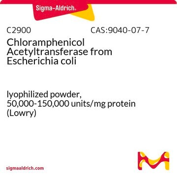 Chloramphenicol Acetyltransferase from Escherichia coli lyophilized powder, 50,000-150,000&#160;units/mg protein (Lowry)