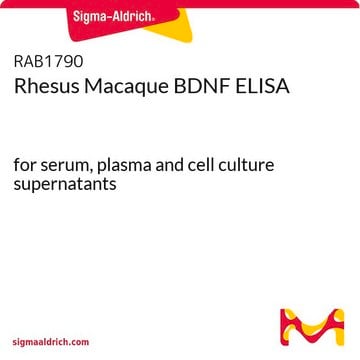 Rhesus Macaque BDNF ELISA for serum, plasma and cell culture supernatants