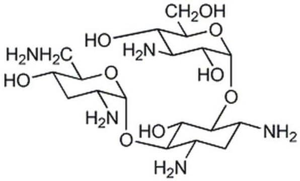 Tobramycin, Freie Base, CAS-Nr. 32986-56-4, Calbiochem Aminoglycoside antibiotic active against Gram negative bacteria. Inhibits myeloperoxidase-dependent oxidant cell injury.