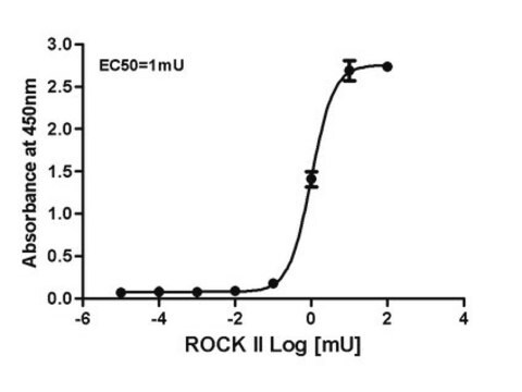 Análisis de actividad de la cinasa asociada a Rho (ROCK) This Rho-associated Protein Kinase (ROCK) Activity Assay Kit is an enzyme immunoassay for detection of the active ROCK &amp; DMPK family kinases.