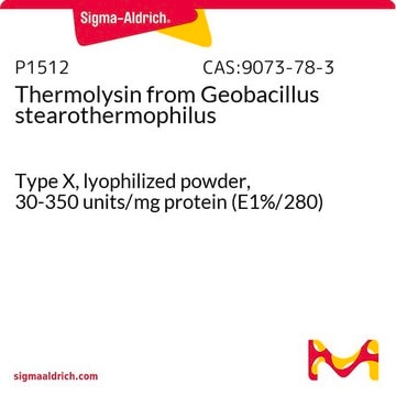 Thermolysin from Geobacillus stearothermophilus Type X, lyophilized powder, 30-350&#160;units/mg protein (E1%/280)