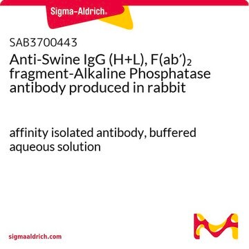 Anti-Swine IgG (H+L), F(ab&#8242;)2 fragment-Alkaline Phosphatase antibody produced in rabbit affinity isolated antibody, buffered aqueous solution