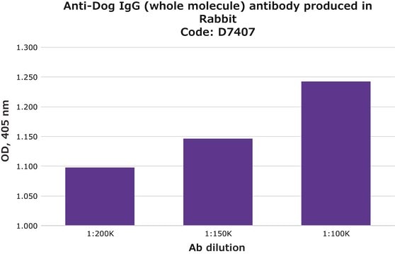 Anti-Dog IgG (whole molecule) antibody produced in rabbit whole antiserum