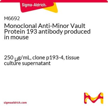 Monoclonal Anti-Minor Vault Protein 193 antibody produced in mouse 250&#160;&#956;g/mL, clone p193-4, tissue culture supernatant