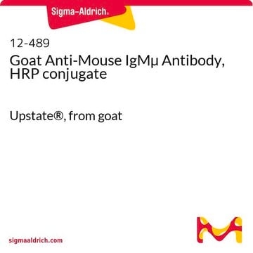 Goat Anti-Mouse IgM&#181; Antibody, HRP conjugate Upstate&#174;, from goat