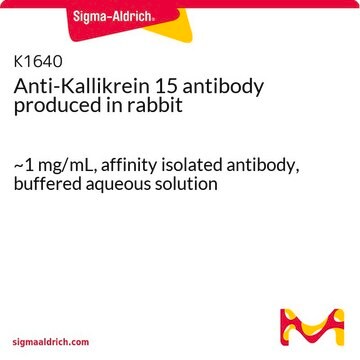 Anti-Kallikrein 15 antibody produced in rabbit ~1&#160;mg/mL, affinity isolated antibody, buffered aqueous solution