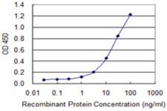 Monoclonal Anti-POLR2C antibody produced in mouse clone 1C11, purified immunoglobulin, buffered aqueous solution