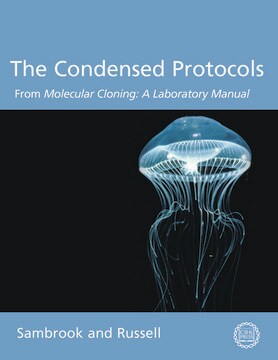 Condensed Protocols from Molecular Cloning: A Laboratory Manual a single-volume adaptation of the three-volume third edition