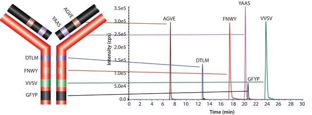 SILu&#8482;MAB 稳定同位素标记的通用单克隆抗体标准品 人 recombinant, expressed in CHO cells