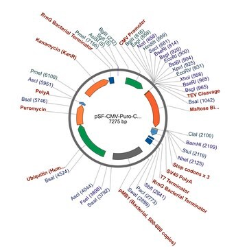 PSF-CMV-PURO-COOH-TEV-MBP - C-TERMINAL MBP TAG MAMMALIAN PLASMID plasmid vector for molecular cloning