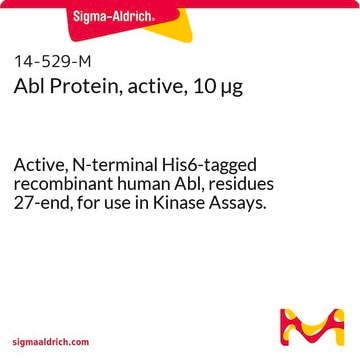 ABL-Protein, aktiv, 10 &#181;g Active, N-terminal His6-tagged recombinant human Abl, residues 27-end, for use in Kinase Assays.