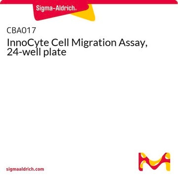 InnoCyte Cell Migration Assay, 24-well plate