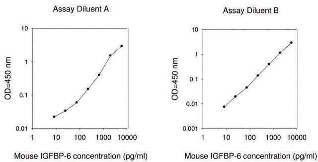 Mouse IGFBP-6 ELISA Kit for serum, plasma and cell culture supernatant