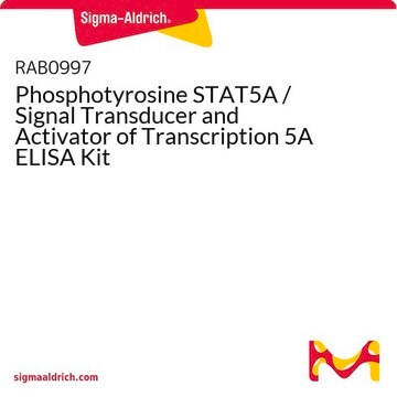 磷酸酪氨酸STAT5A /信号转导和转录激活因子5A ELISA试剂盒