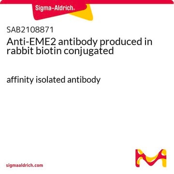 Anti-EME2 antibody produced in rabbit biotin conjugated affinity isolated antibody