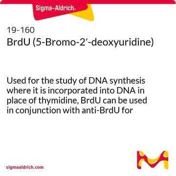 BrdU (5-Bromo-2&#8242;-desoxiuridina) Used for the study of DNA synthesis where it is incorporated into DNA in place of thymidine, BrdU can be used in conjunction with anti-BrdU for immunocytochemical analysis of cell proliferation.