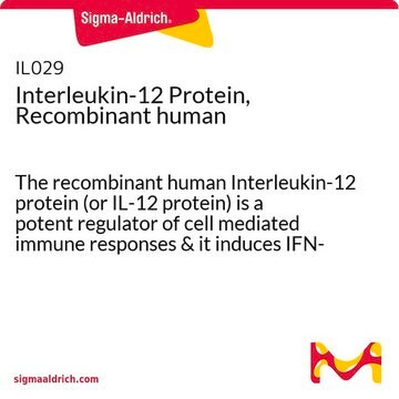 Interleukin-12 Protein, Recombinant human The recombinant human Interleukin-12 protein (or IL-12 protein) is a potent regulator of cell mediated immune responses &amp; it induces IFN-gamma production by NK &amp; T cells.