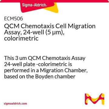 Ensayo colorimétrico de migración celular por quimiotaxis QCM, 24 pocillos (5 &#181;m) This 3 um QCM Chemotaxis Assay 24-well plate -colorimetric is performed in a Migration Chamber, based on the Boyden chamber principle.