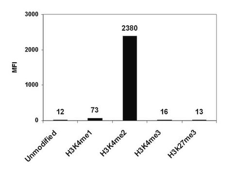 ChIPAb+ Dimethyl-Histone H3 (Lys4) - ChIP Validated Antibody and Primer Set clone CMA303, from mouse