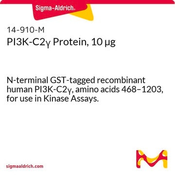 PI3K-C2&#947; Protein, 10 &#181;g N-terminal GST-tagged recombinant human PI3K-C2&#947;, amino acids 468&#8211;1203, for use in Kinase Assays.