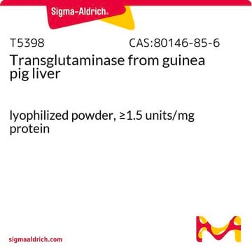 转谷氨酰胺酶 来源于天竺鼠肝脏 lyophilized powder, &#8805;1.5&#160;units/mg protein