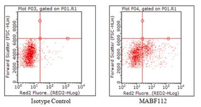 Anti-CD70 Antibody, clone TAN 1-7 clone TAN 1-7, from rat