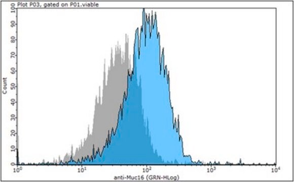 Anti-Mucin-16 (MUC16 Antibody) from rabbit, purified by affinity chromatography