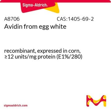 亲和素 来源于鸡蛋白 recombinant, expressed in corn, &#8805;12&#160;units/mg protein (E1%/280)