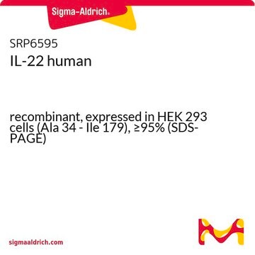 IL-22 human recombinant, expressed in HEK 293 cells (Ala 34 - Ile 179), &#8805;95% (SDS-PAGE)