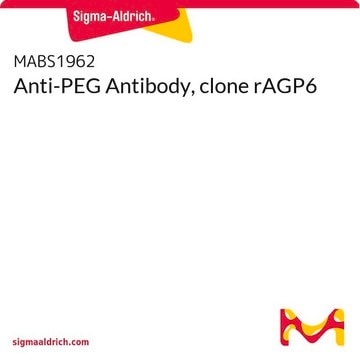 Anti-PEG Antibody, clone rAGP6