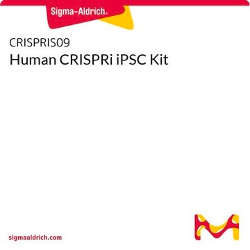 Human CRISPRi iPSC Kit