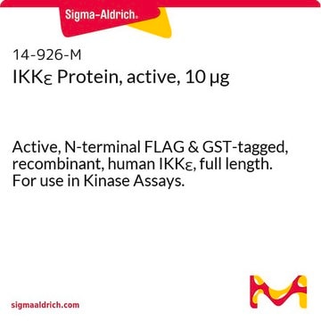 IKK&#949; Protein, active, 10 &#181;g Active, N-terminal FLAG &amp; GST-tagged, recombinant, human IKK&#949;, full length. For use in Kinase Assays.