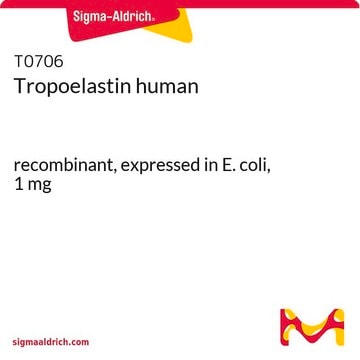 Tropoelastin human recombinant, expressed in E. coli, 1&#160;mg