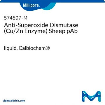 Anti-Superoxide Dismutase (Cu/Zn Enzyme) Sheep pAb liquid, Calbiochem&#174;