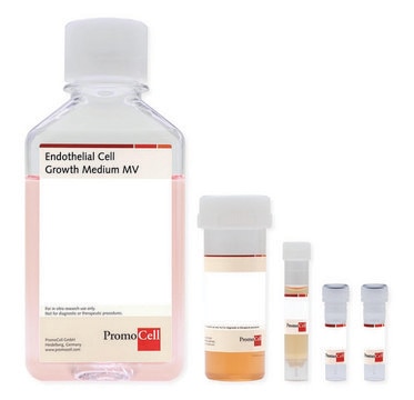 Endothelial Cell Growth Medium MV Kit including Basal Medium and SupplementPack, 500 ml