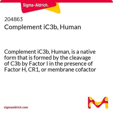 Komplement&nbsp;iC3b, human Complement iC3b, Human, is a native form that is formed by the cleavage of C3b by Factor I in the presence of Factor H, CR1, or membrane cofactor protein.