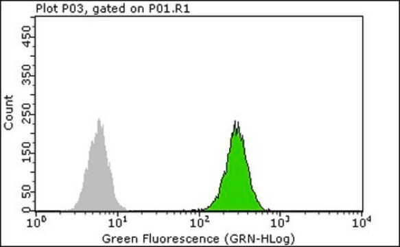 Anti-c-Jun Antibody, clone 6E4.4 clone 6E4.4, from mouse