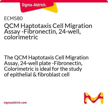 Ensayo de migración celular por haptotaxis QCM -fibronectina, 24 pocillos, colorimétrico The QCM Haptotaxis Cell Migration Assay, 24-well plate -Fibronectin, Colorimetric is ideal for the study of epithelial &amp; fibroblast cell haptotaxis.