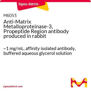 Anti-Matrix Metalloproteinase-3, Propeptide Region antibody produced in rabbit ~1&#160;mg/mL, affinity isolated antibody, buffered aqueous glycerol solution