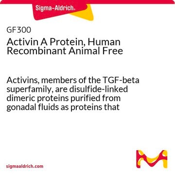 无重组人动物的激活素A蛋白 Activins, members of the TGF-beta superfamily, are disulfide-linked dimeric proteins purified from gonadal fluids as proteins that stimulated pituitary follicle stimulating hormone (FSH) release.