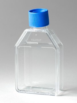 Corning&#174; Falcon&#174; Cell Culture Flask capacity 50&#160;mL, canted neck, graduated, 5 &#8209; 40&#160;mL, cap, blue vented