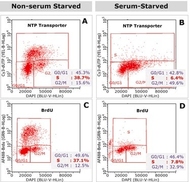 Molécule transporteuse de NTP BioTracker Quick and efficient transport of labeled NTPs into cells for live cell imaging of DNA replication, synthesis, etc. Labeling of DNA with fluorescent NTPs is one of the essential methods in cell cycle analysis.